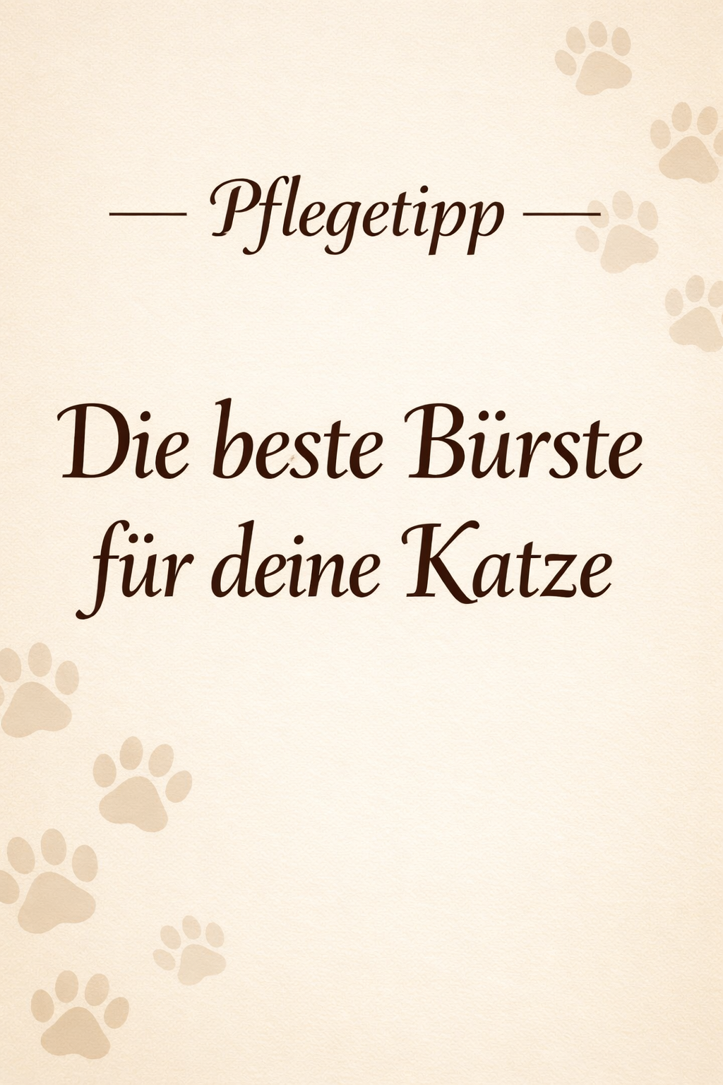 Die beste Bürste, für deine Katze, ist gar keine Bürste…